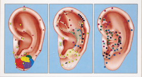  - IRIDOLOGIA E NATUROPATIA