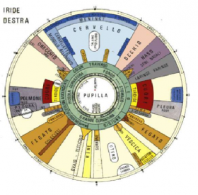 OCCHI SPECCHIO DELL’ANIMA… E NON SOLO - IRIDOLOGIA E NATUROPATIA