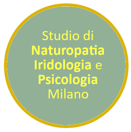 LogoStudio